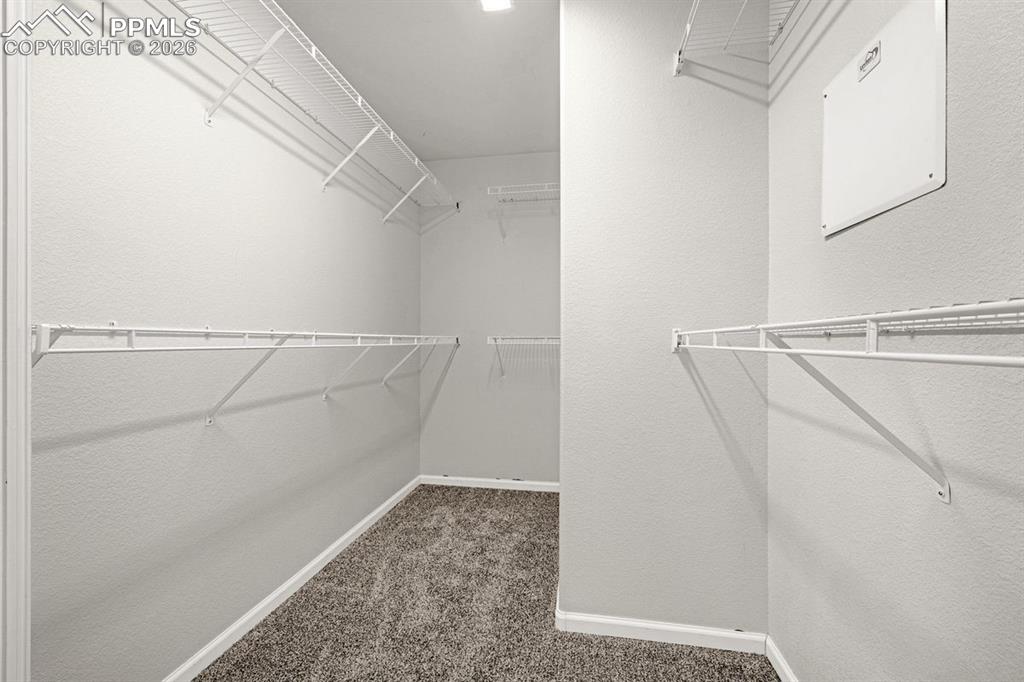 6522 Fowler Drive Colorado Springs CO 80923