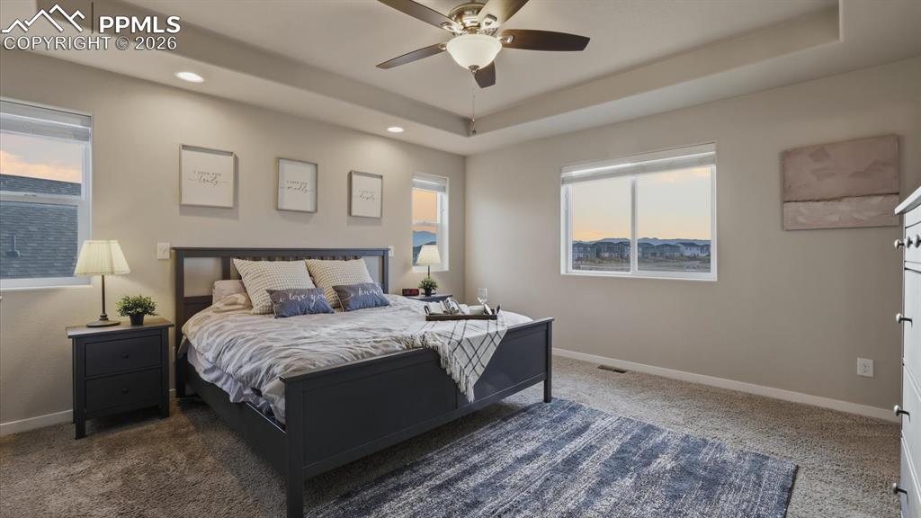 7872 Callendale Drive Colorado Springs CO 80908