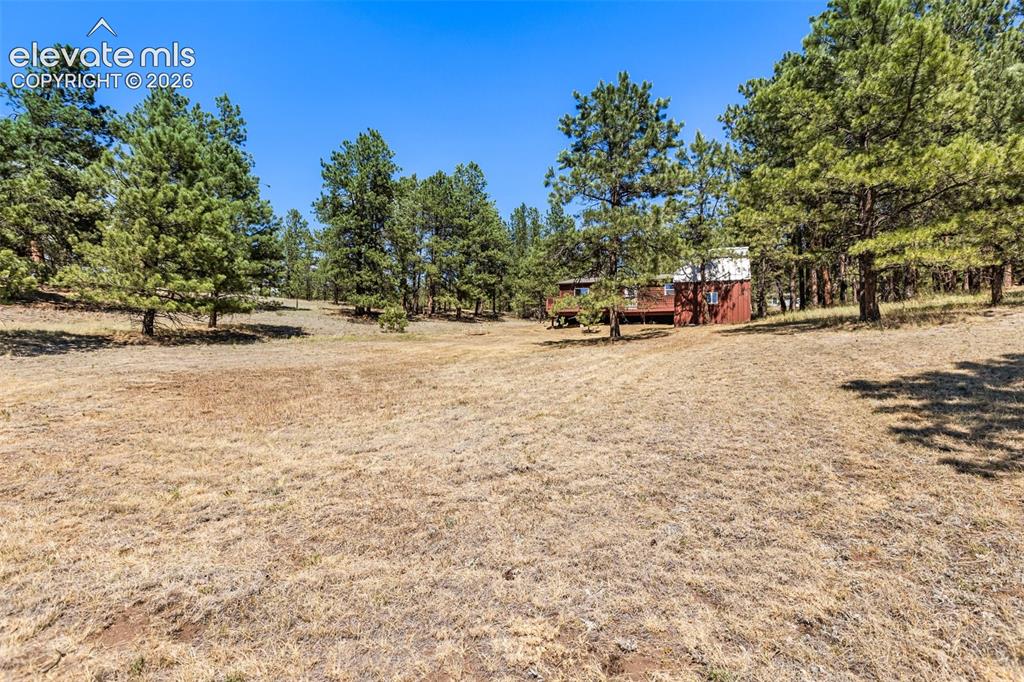 331 Rhyolite Lane Florissant CO 80816