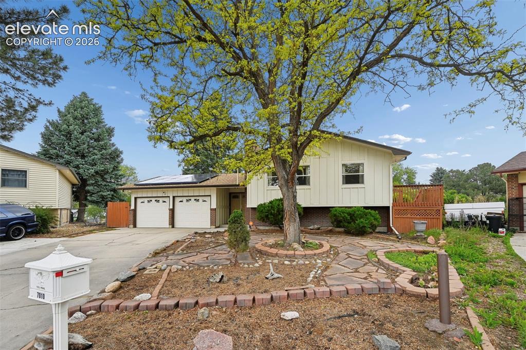 7010 Burroback Court Colorado Springs CO 80911