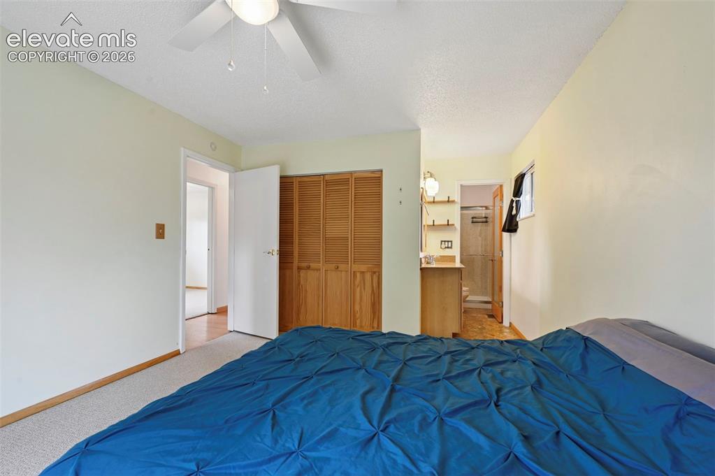 7010 Burroback Court Colorado Springs CO 80911