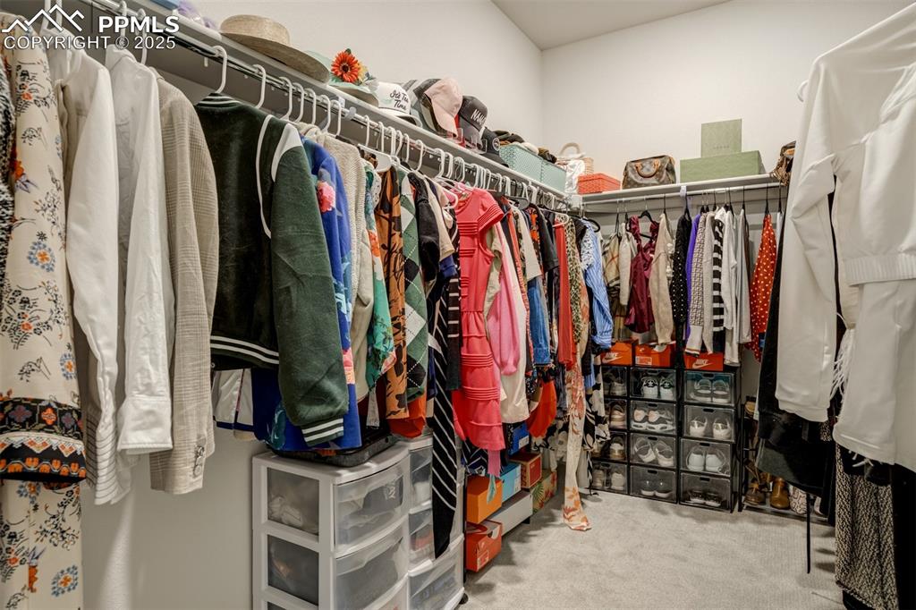 6950 Hidden Cove Court Castle Pines CO 80108