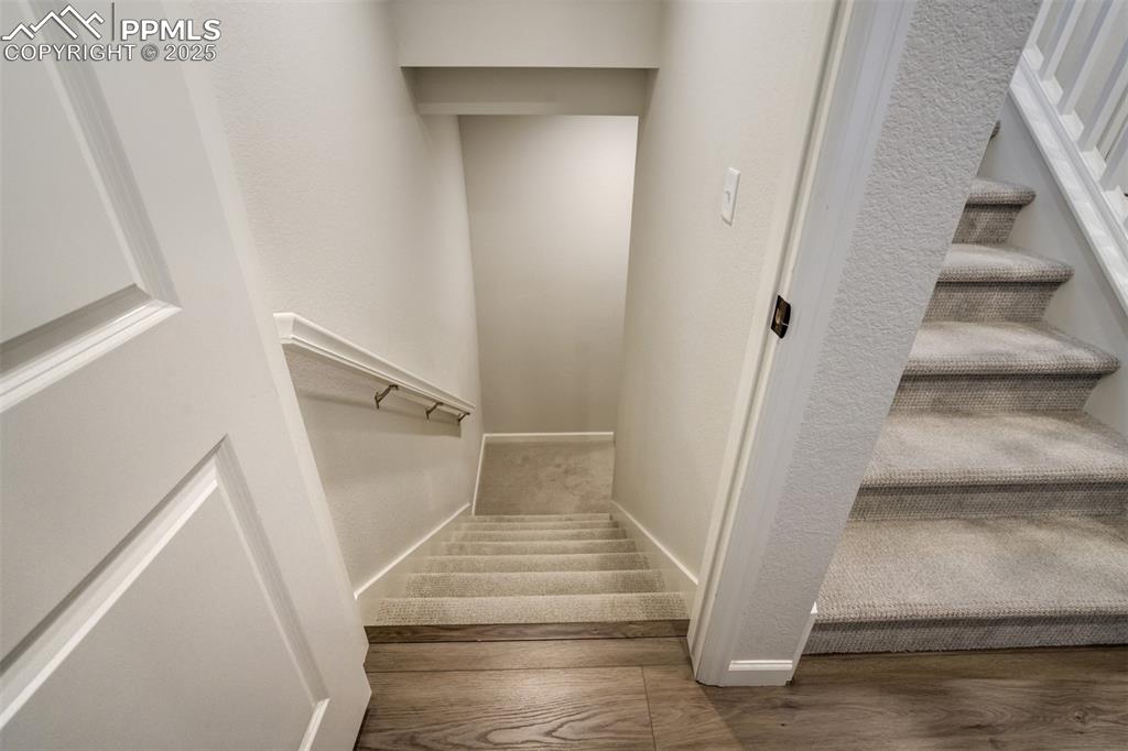 6950 Hidden Cove Court Castle Pines CO 80108