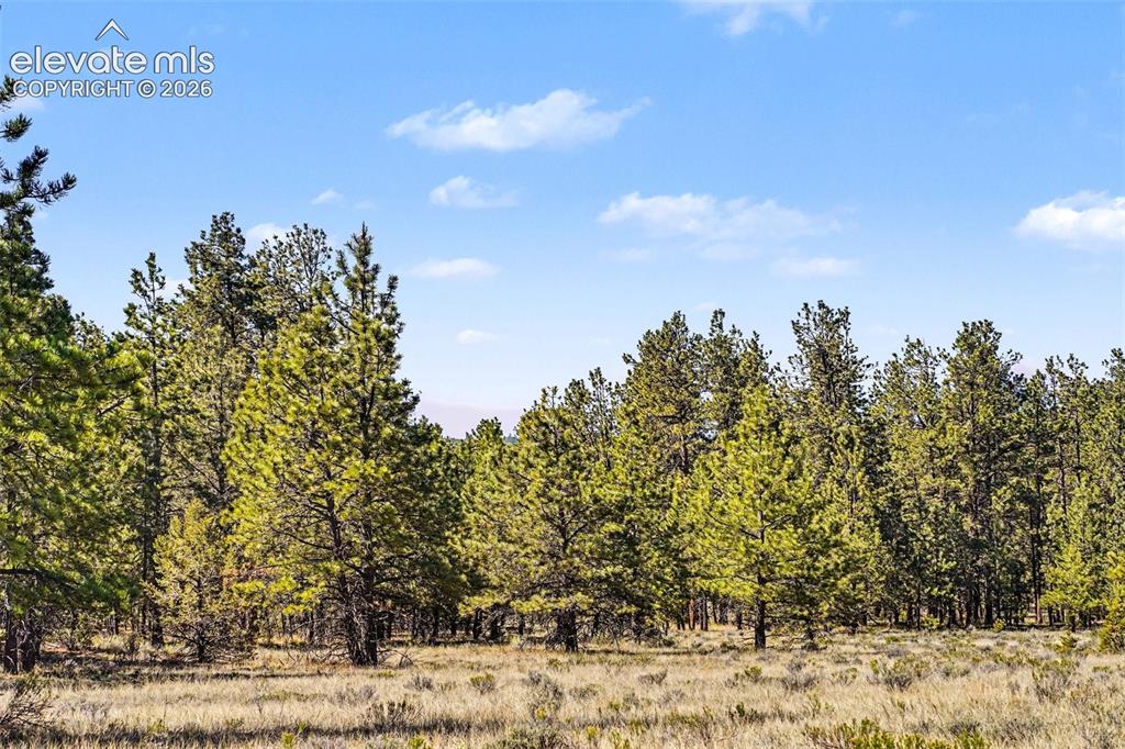610 Matterhorn Circle Westcliffe CO 81252