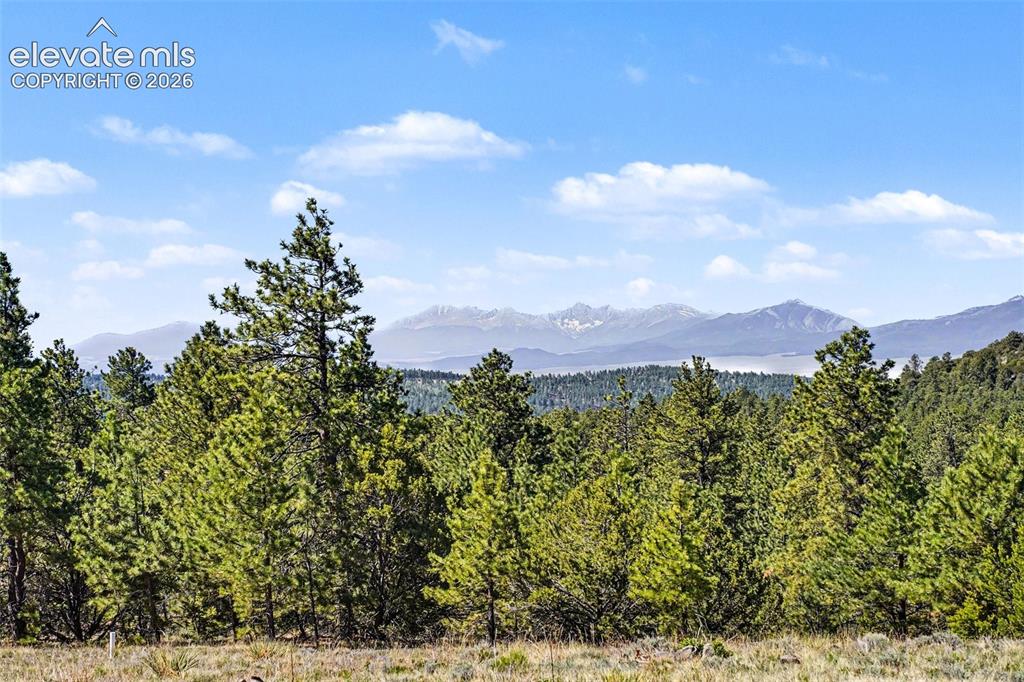 610 Matterhorn Circle Westcliffe CO 81252