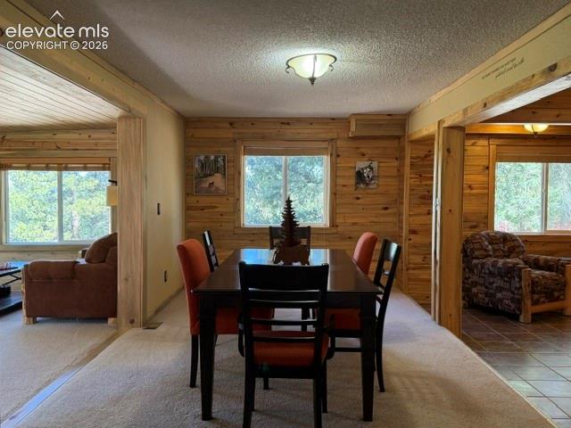 269 Southpark Road Florissant CO 80816