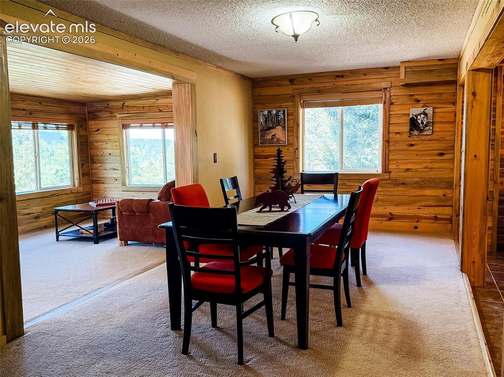 269 Southpark Road Florissant CO 80816