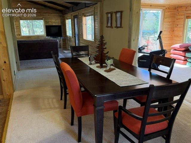 269 Southpark Road Florissant CO 80816