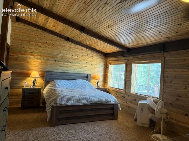 269 Southpark Road Florissant CO 80816