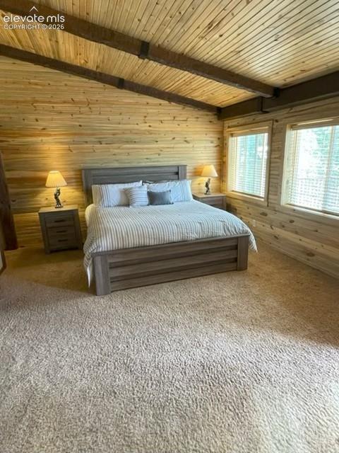 269 Southpark Road Florissant CO 80816