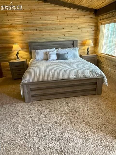 269 Southpark Road Florissant CO 80816
