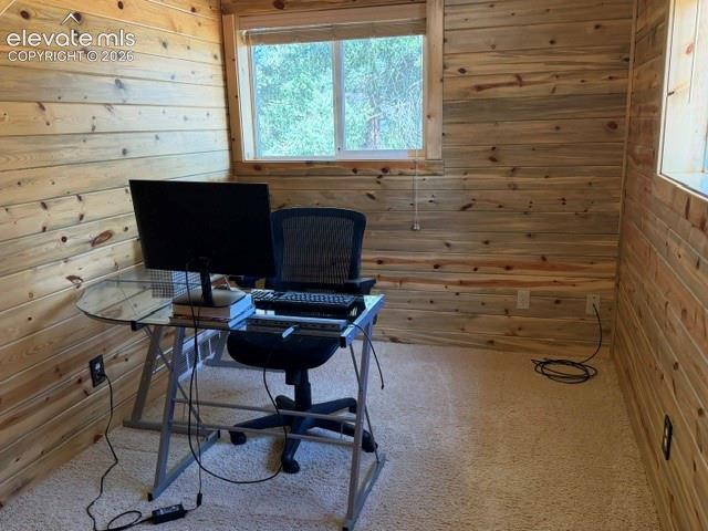 269 Southpark Road Florissant CO 80816