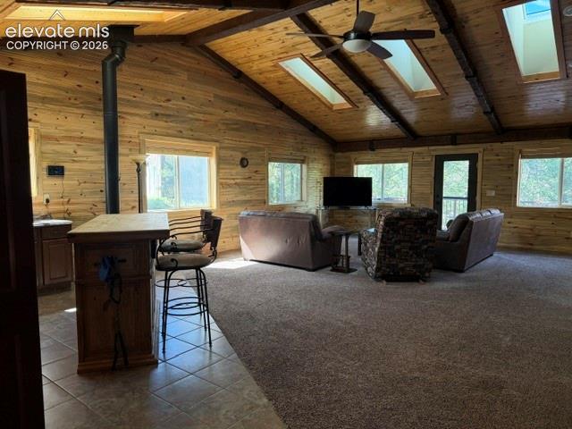 269 Southpark Road Florissant CO 80816