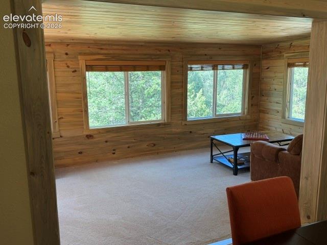 269 Southpark Road Florissant CO 80816
