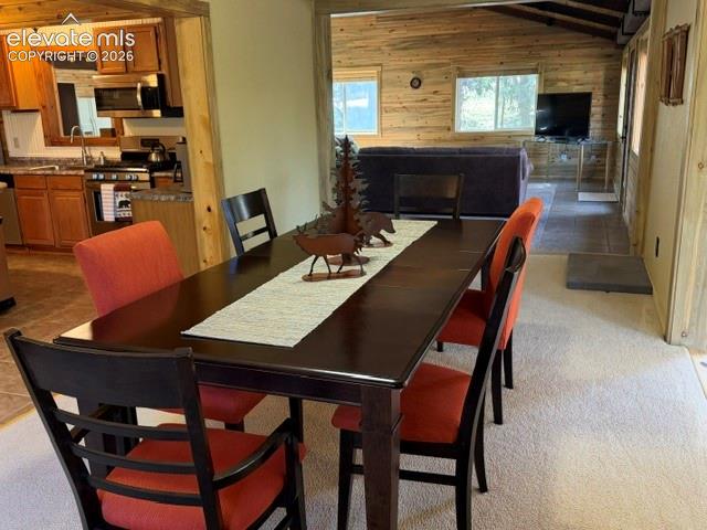 269 Southpark Road Florissant CO 80816