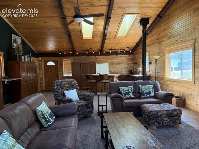 269 Southpark Road Florissant CO 80816