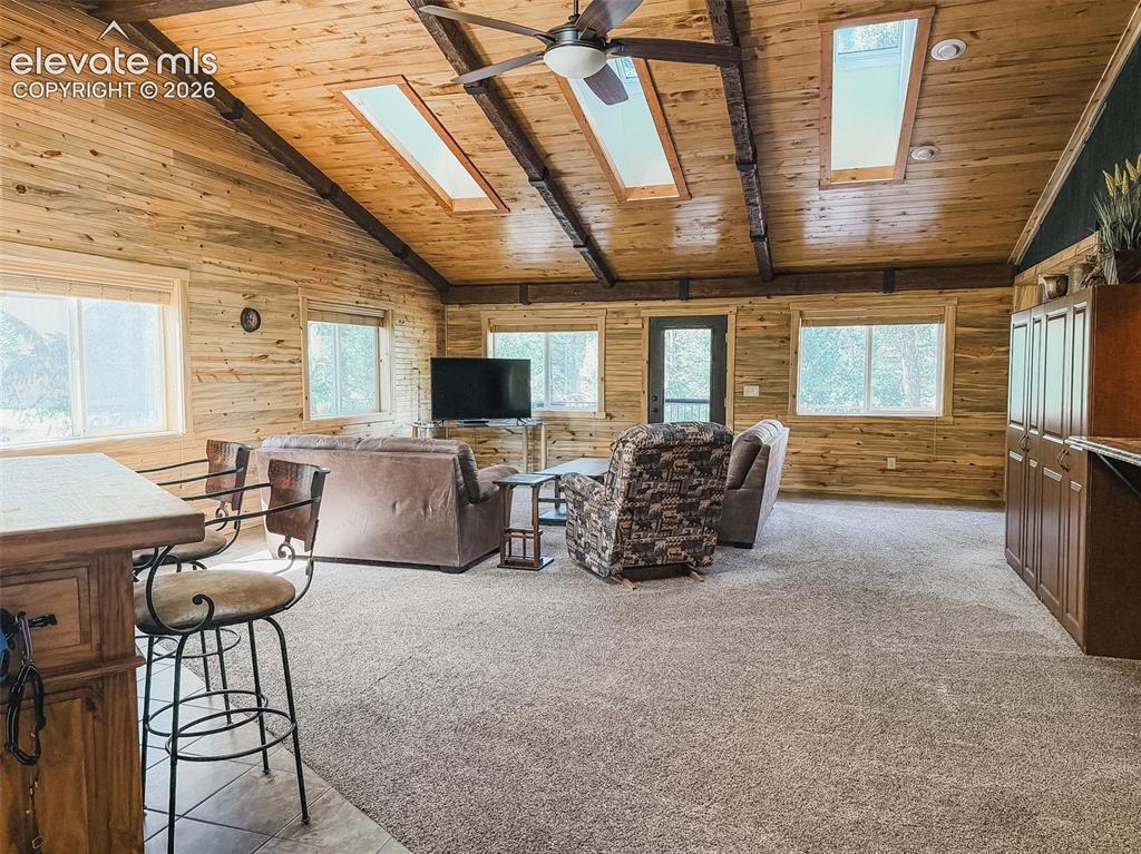 269 Southpark Road Florissant CO 80816