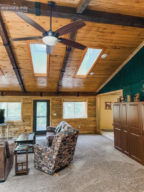 269 Southpark Road Florissant CO 80816