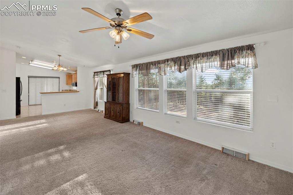 46 Kingston Circle Florissant CO 80816