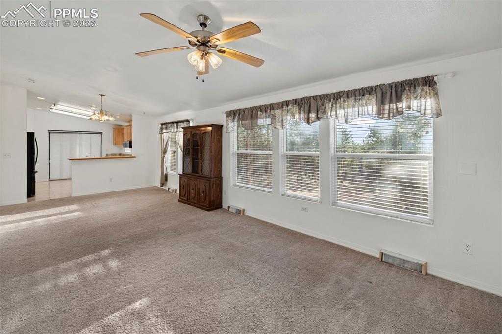 46 Kingston Circle Florissant CO 80816