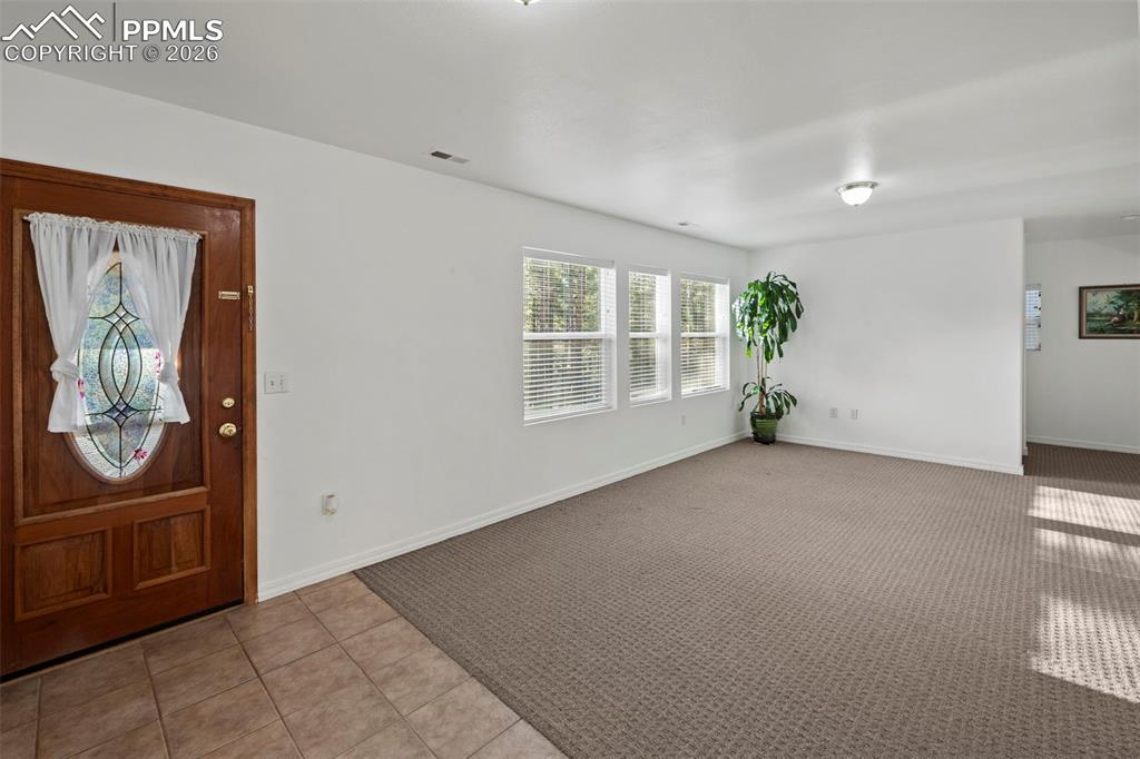 46 Kingston Circle Florissant CO 80816