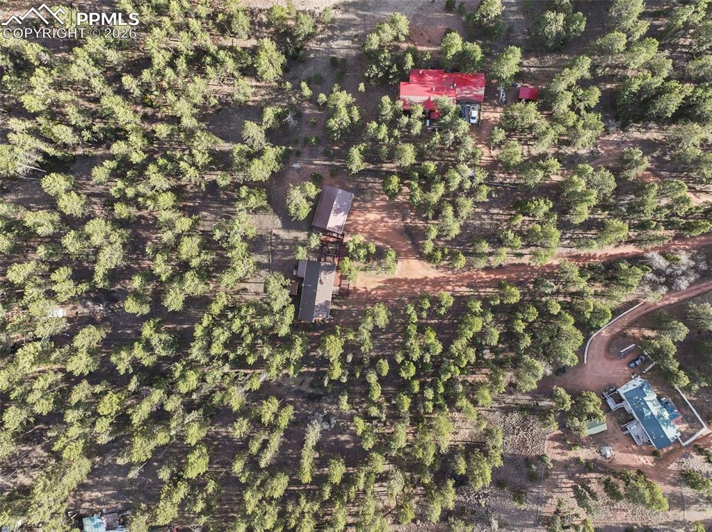 46 Kingston Circle Florissant CO 80816