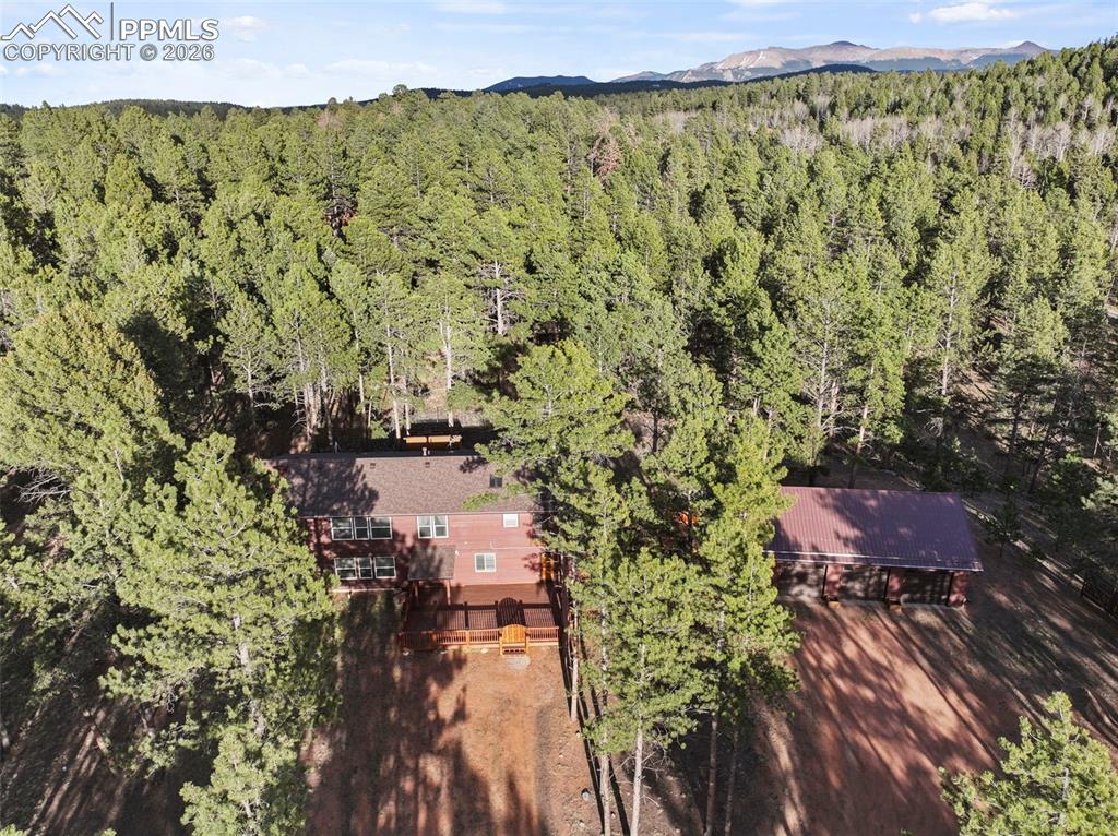 46 Kingston Circle Florissant CO 80816