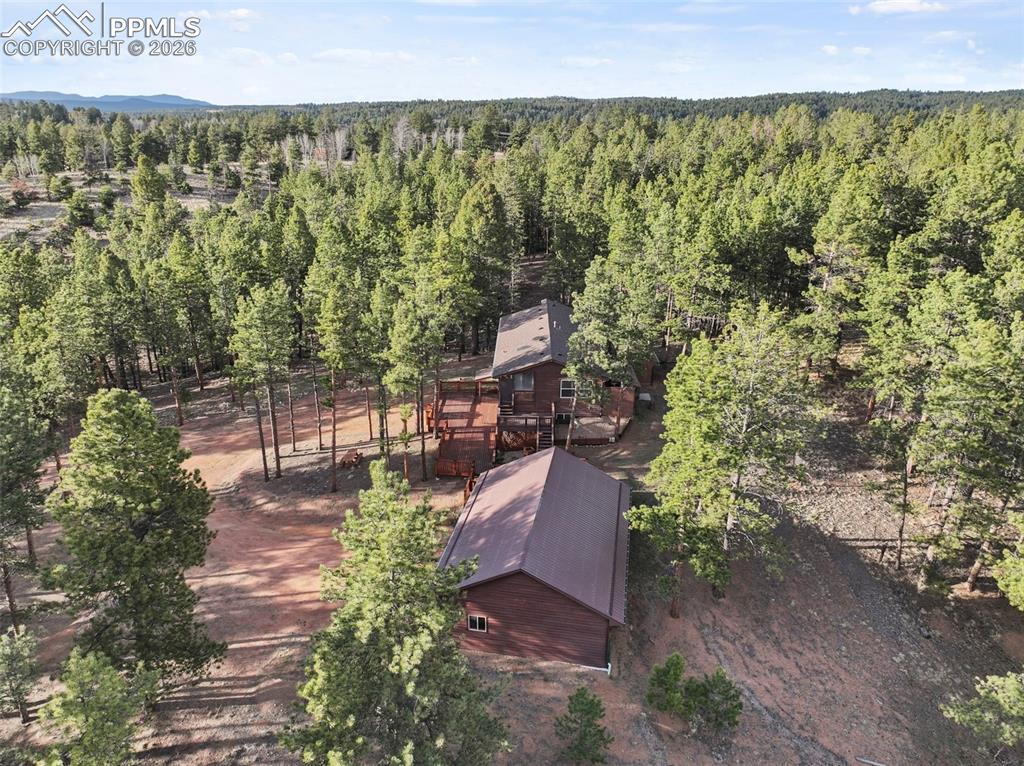 46 Kingston Circle Florissant CO 80816