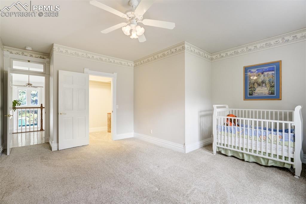 20252 W Elk Creek Drive Colorado Springs CO 80908