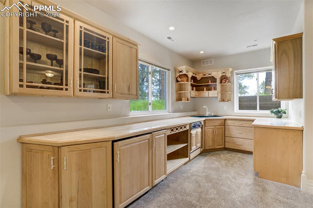 20252 W Elk Creek Drive Colorado Springs CO 80908