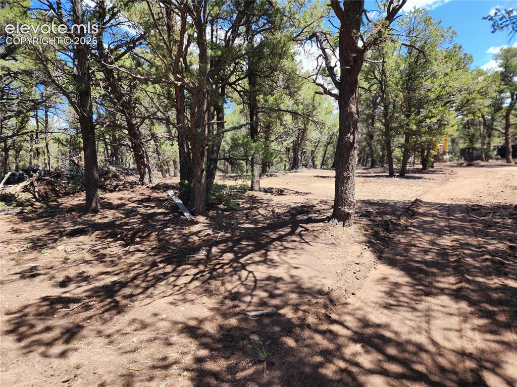000 8th Trail Cotopaxi CO 81223