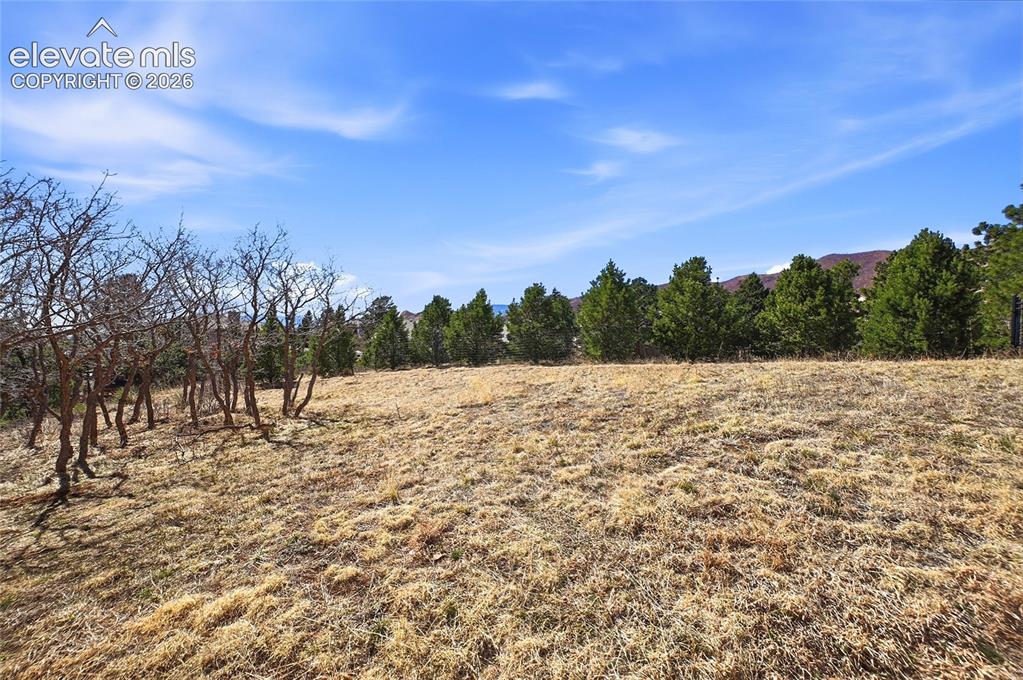 2615 Tamora Way Colorado Springs CO 80919