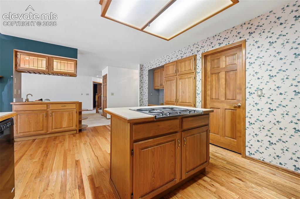 745 Popes Valley Drive Colorado Springs CO 80919