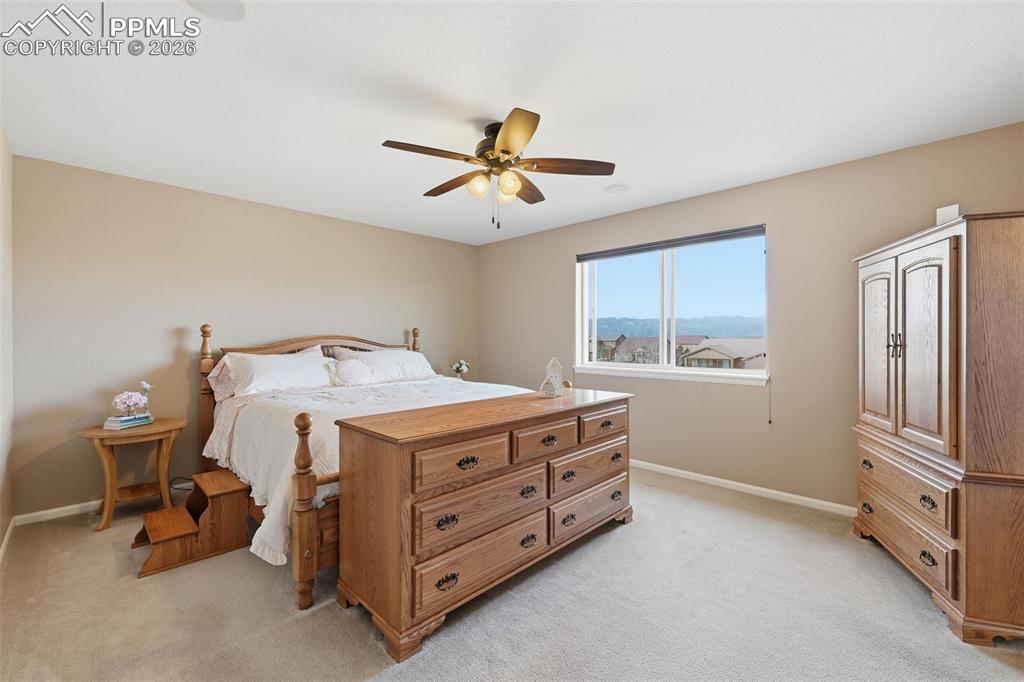 6612 Big Leaf Lane Colorado Springs CO 80927