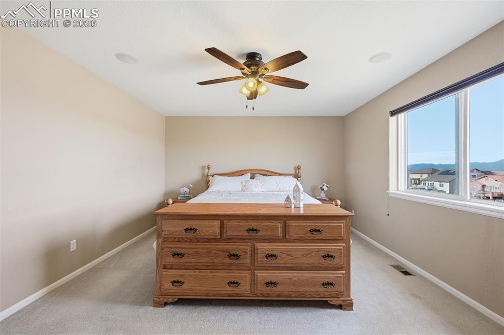 6612 Big Leaf Lane Colorado Springs CO 80927