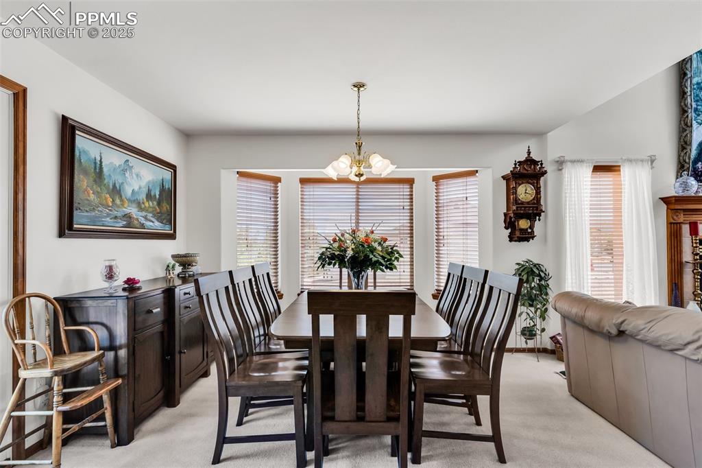 207 Savage Loop Canon City CO 81212