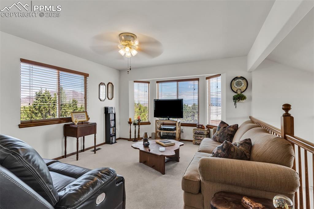 207 Savage Loop Canon City CO 81212