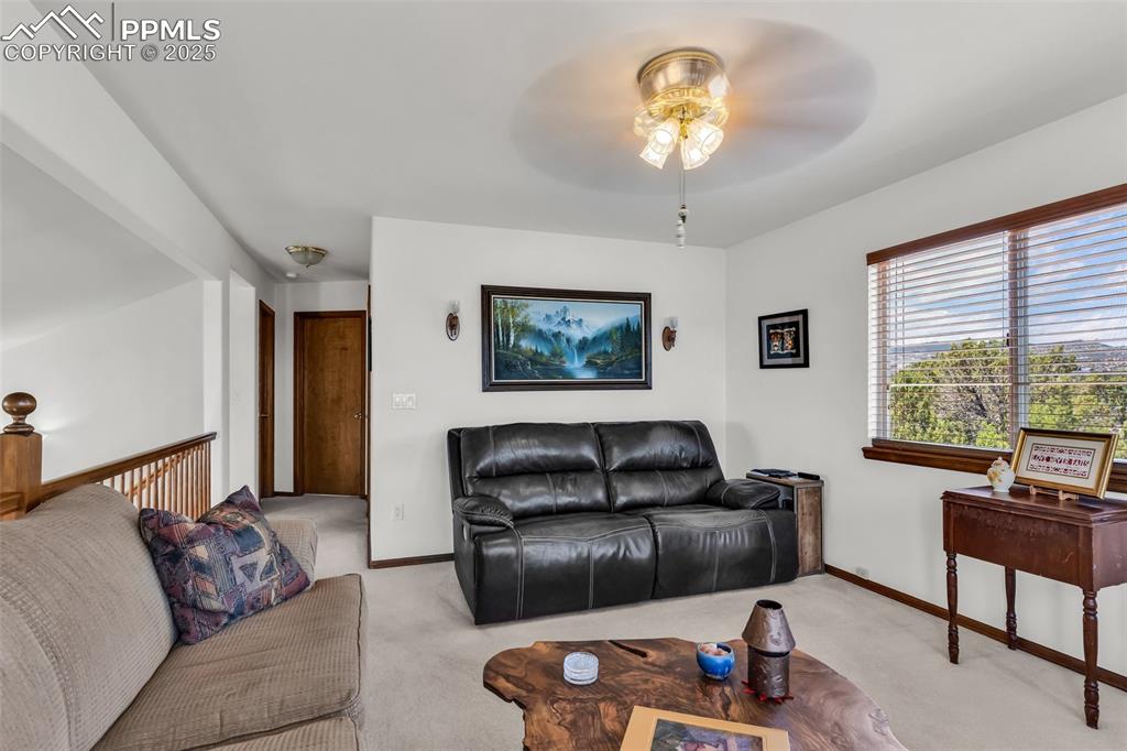 207 Savage Loop Canon City CO 81212