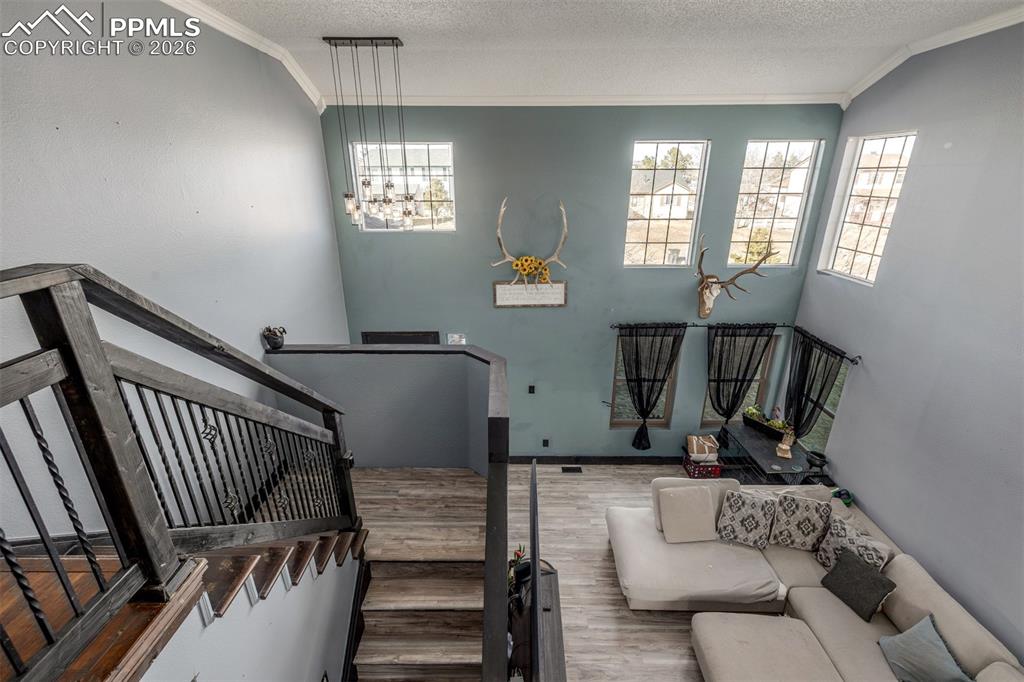 11650 Cranston Drive Peyton CO 80831