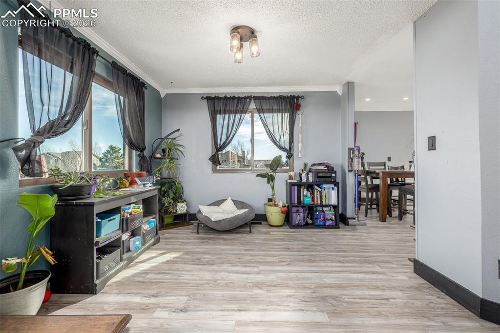 11650 Cranston Drive Peyton CO 80831