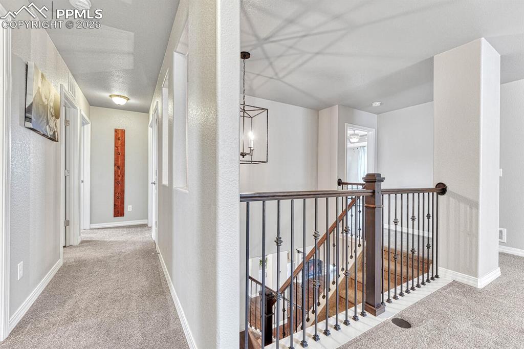 9190 Kathi Creek Drive Colorado Springs CO 80924