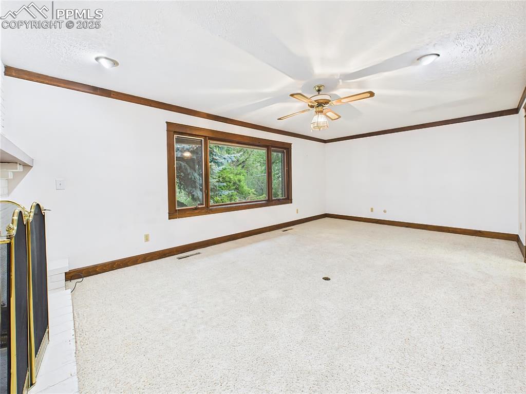 540 N Bear Paw Lane Colorado Springs CO 80906