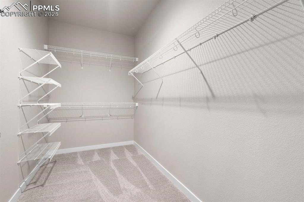 8374 David Rudabaugh Drive Colorado Springs CO 80908