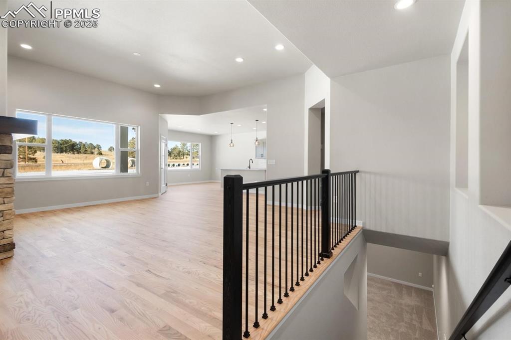 8374 David Rudabaugh Drive Colorado Springs CO 80908