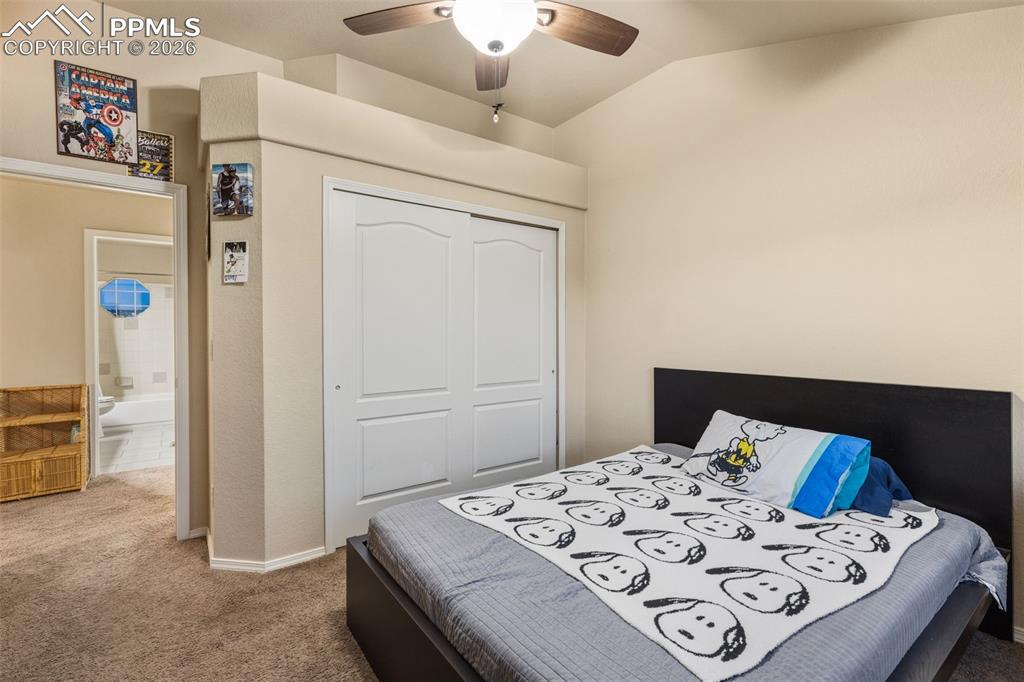 8856 Country Creek Trail Colorado Springs CO 80924