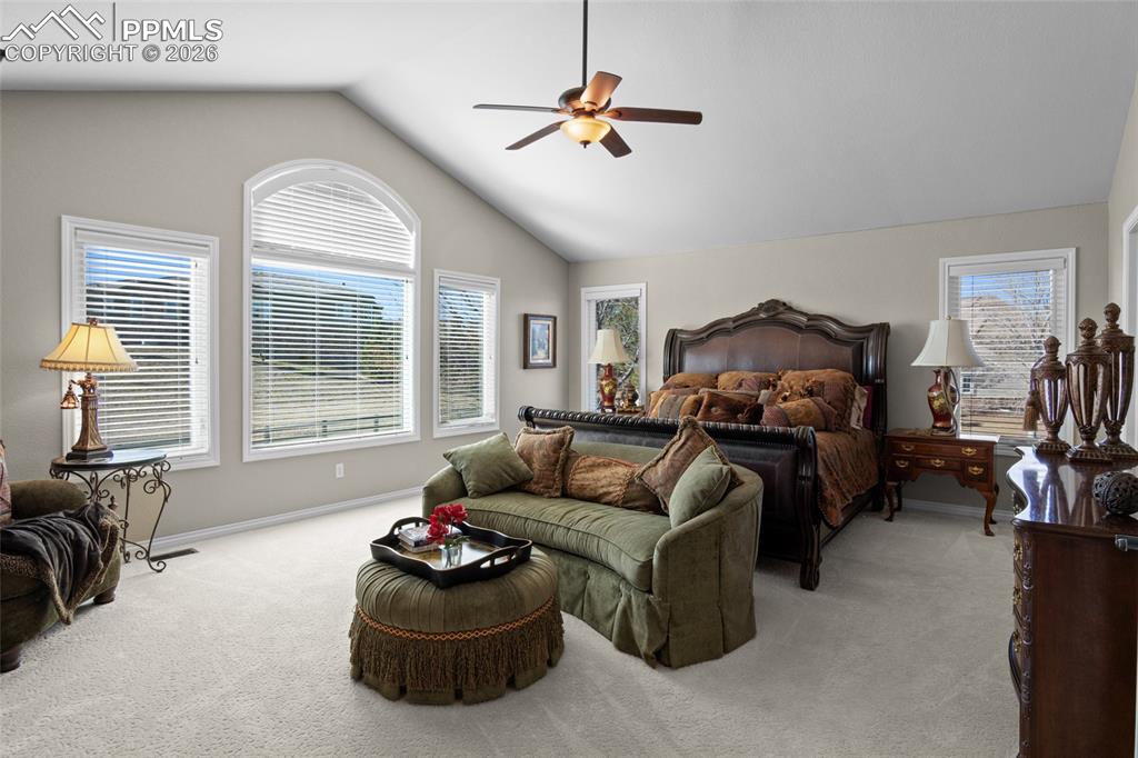5970 Jade Court Castle Rock CO 80108
