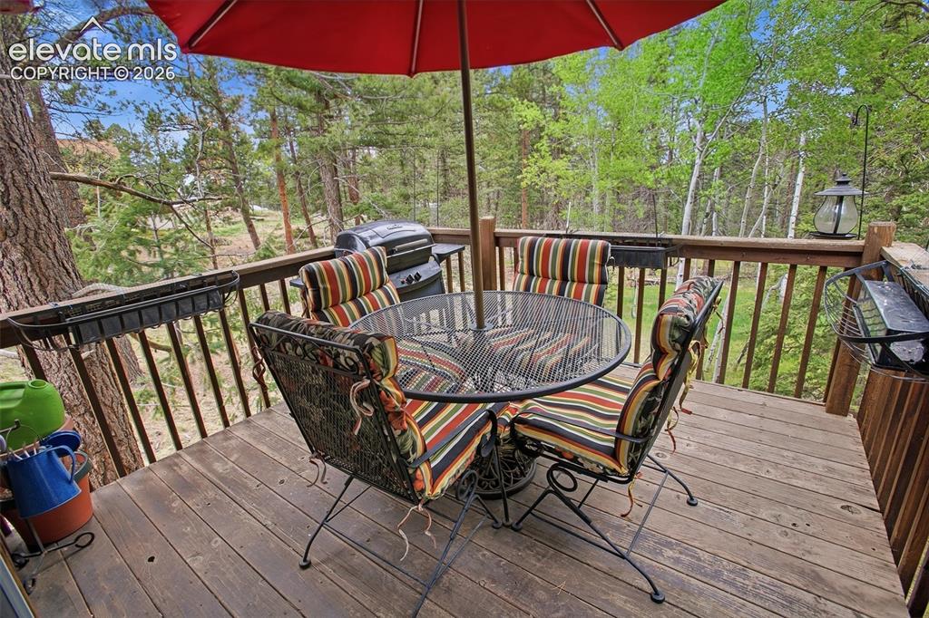 877 N Mountain Estates Road Florissant CO 80816