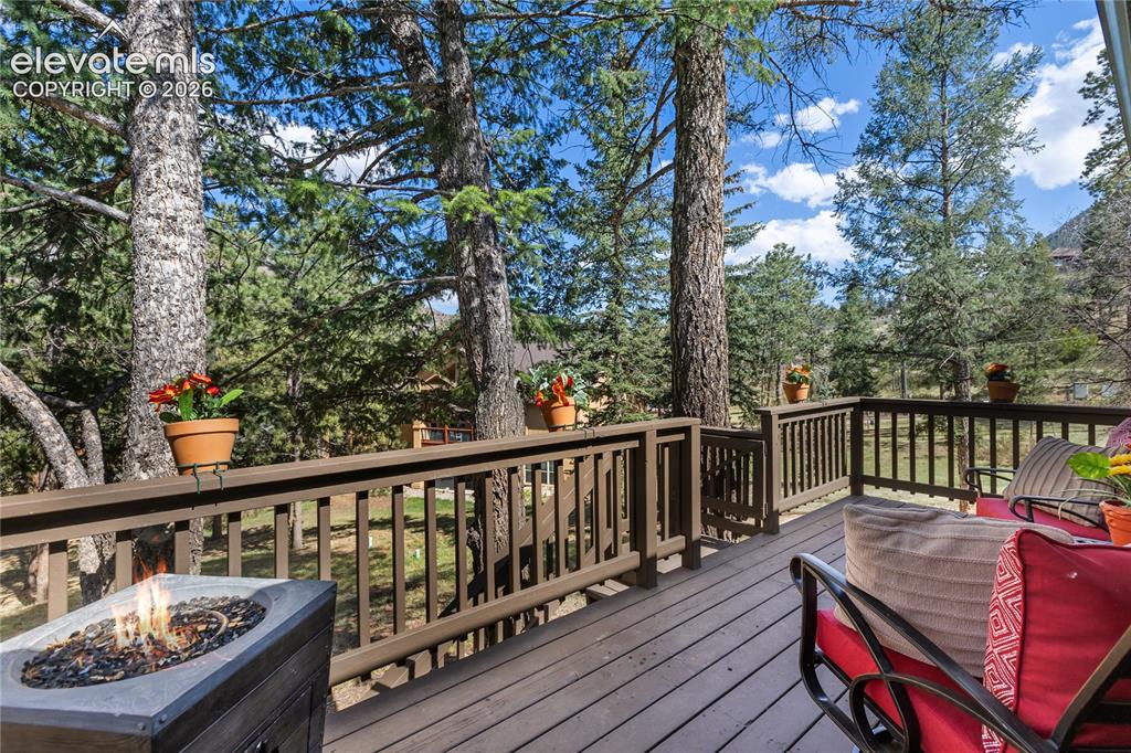 9120 Ute Road Cascade CO 80809