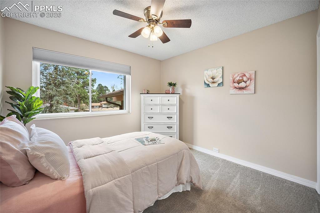 4301 Northridge Place Colorado Springs CO 80918