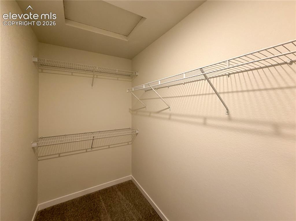 8262 Lemon Grass Road Peyton CO 80831
